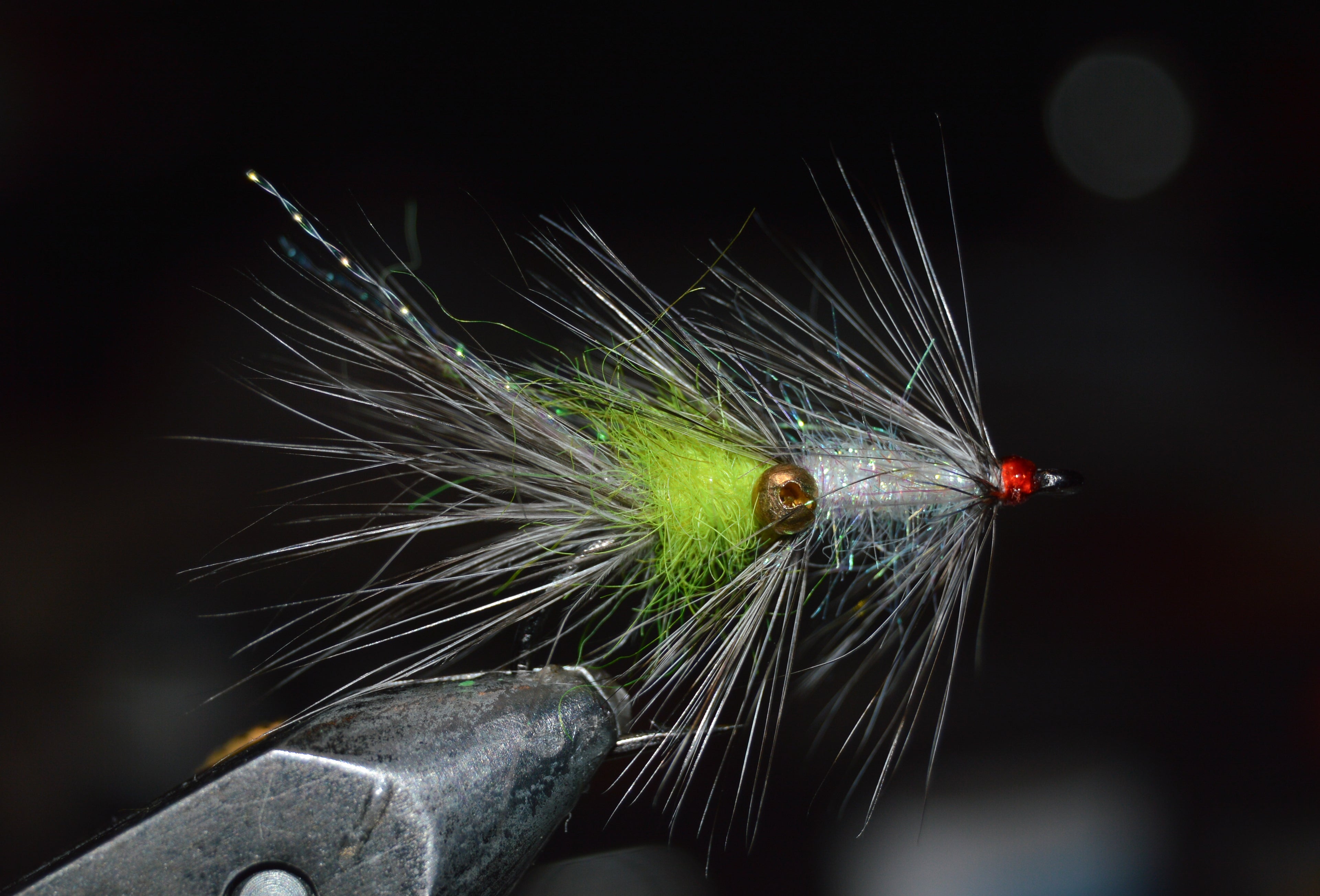 Vaskebjørn chartreuse Size 6